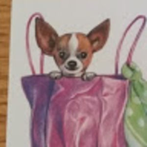 Meet your Posher, Kelly